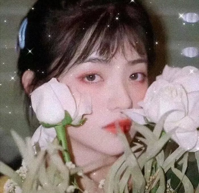 桃花开好了